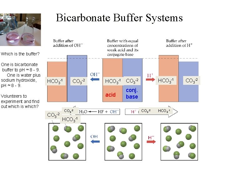 Bicarbonate Buffer Systems Which is the buffer? One is bicarbonate buffer to p. H