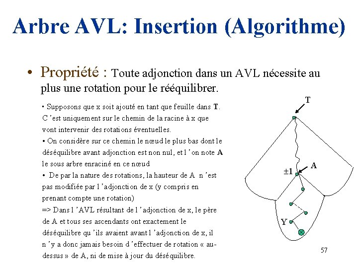 Arbre AVL: Insertion (Algorithme) • Propriété : Toute adjonction dans un AVL nécessite au