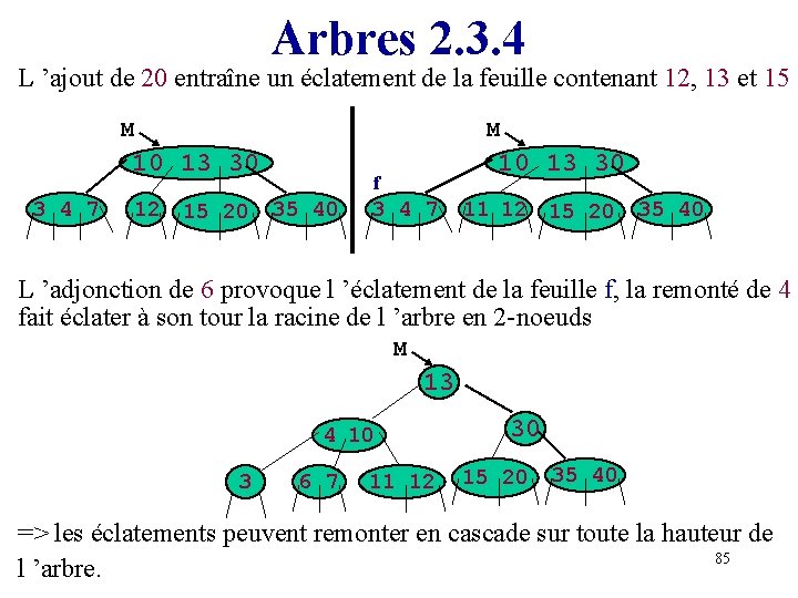 Arbres 2. 3. 4 L ’ajout de 20 entraîne un éclatement de la feuille
