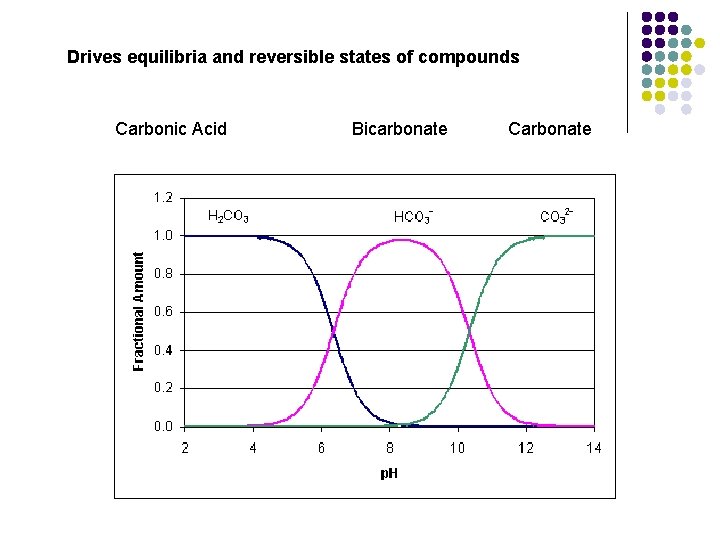 Drives equilibria and reversible states of compounds Carbonic Acid Bicarbonate Carbonate 