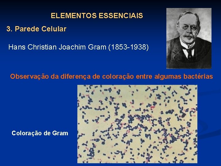 ELEMENTOS ESSENCIAIS 3. Parede Celular Hans Christian Joachim Gram (1853 -1938) Observação da diferença