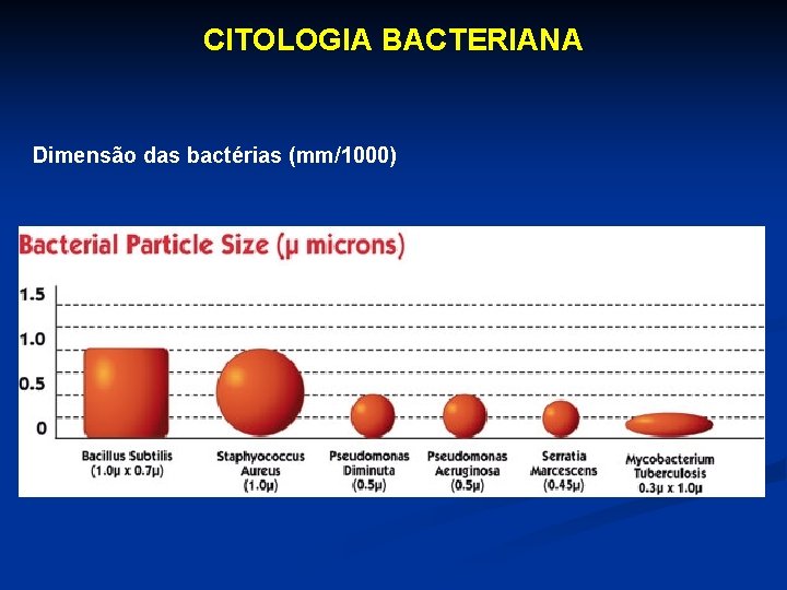 CITOLOGIA BACTERIANA Dimensão das bactérias (mm/1000) 