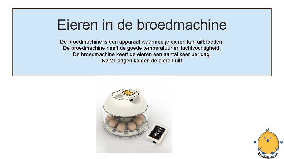 Eieren in de broedmachine De broedmachine is een apparaat waarmee je eieren kan uitbroeden.