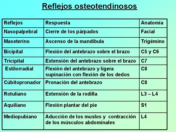 Reflejos osteotendinosos Reflejos Respuesta Anatomía Nasopalpebral Cierre de los párpados Facial Maseterino Ascenso de