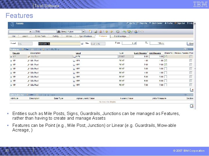 Tivoli Software Features § Entities such as Mile Posts, Signs, Guardrails, Junctions can be