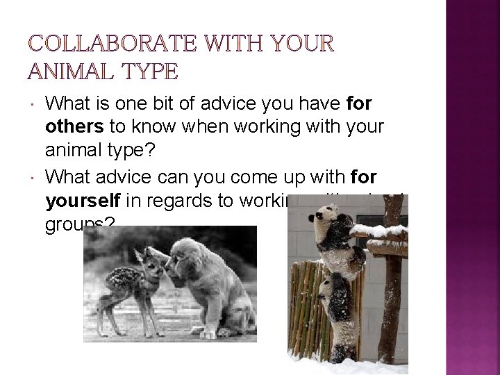  What is one bit of advice you have for others to know when