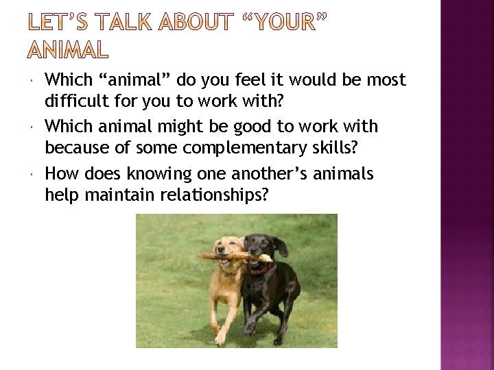  Which “animal” do you feel it would be most difficult for you to