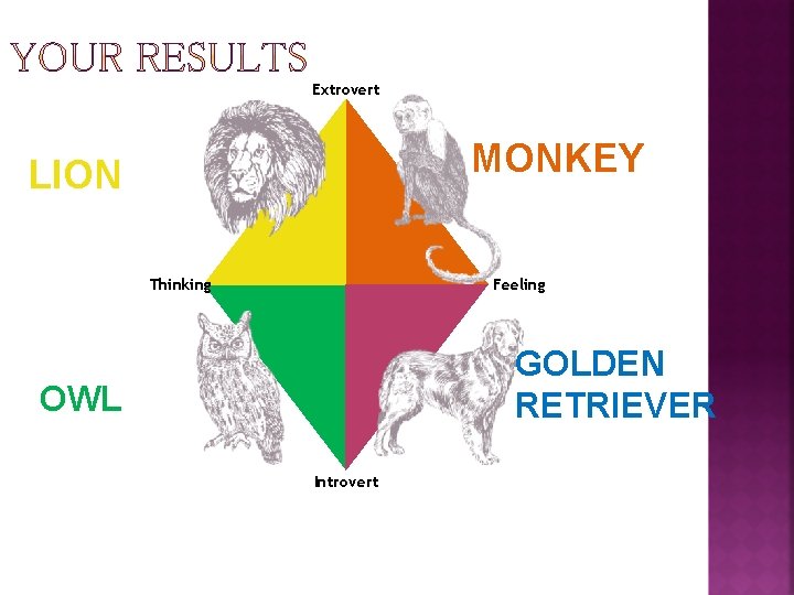 Extrovert MONKEY LION Thinking Feeling GOLDEN RETRIEVER OWL Introvert 