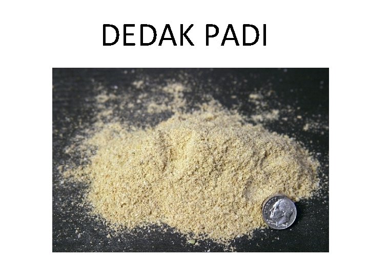 DEDAK PADI 