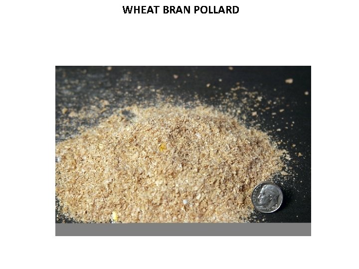 WHEAT BRAN POLLARD 