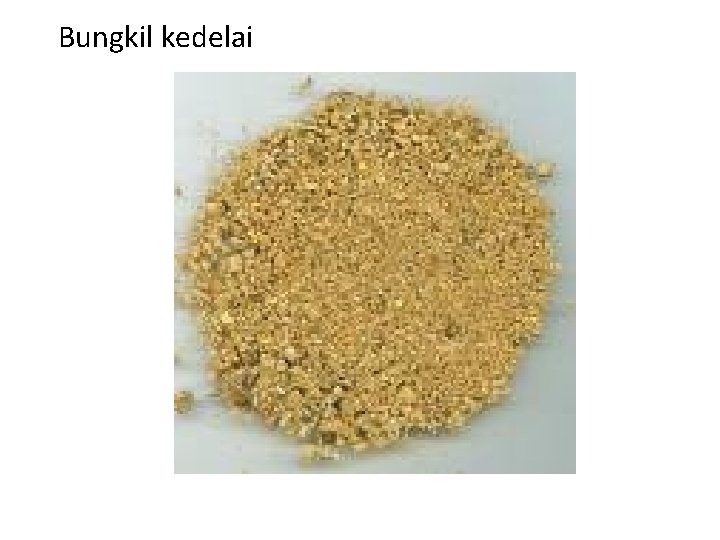 Bungkil kedelai 