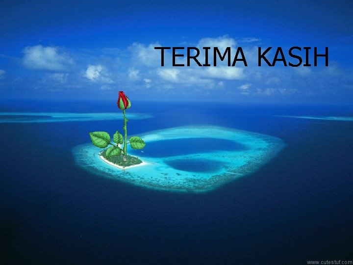 TERIMA KASIH 