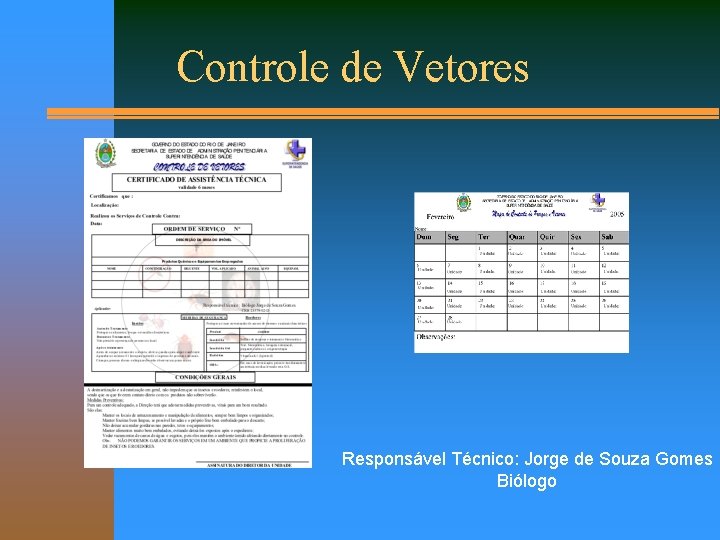 Controle de Vetores Responsável Técnico: Jorge de Souza Gomes Biólogo 