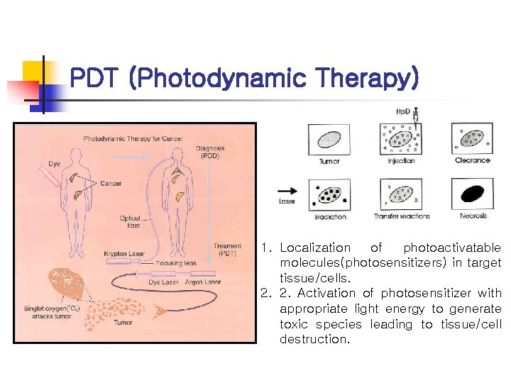 PDT (Photodynamic Therapy) 1. Localization of photoactivatable molecules(photosensitizers) in target tissue/cells. 2. 2. Activation