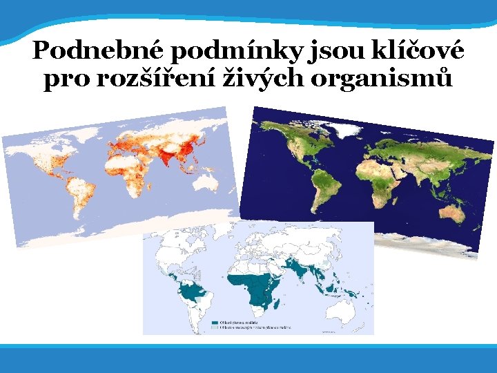 14. 7. 2017 4 Podnebné podmínky jsou klíčové pro rozšíření živých organismů 