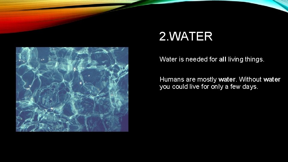 BASIC NEEDS OF LIVING THINGS Firstsecond Grade Life