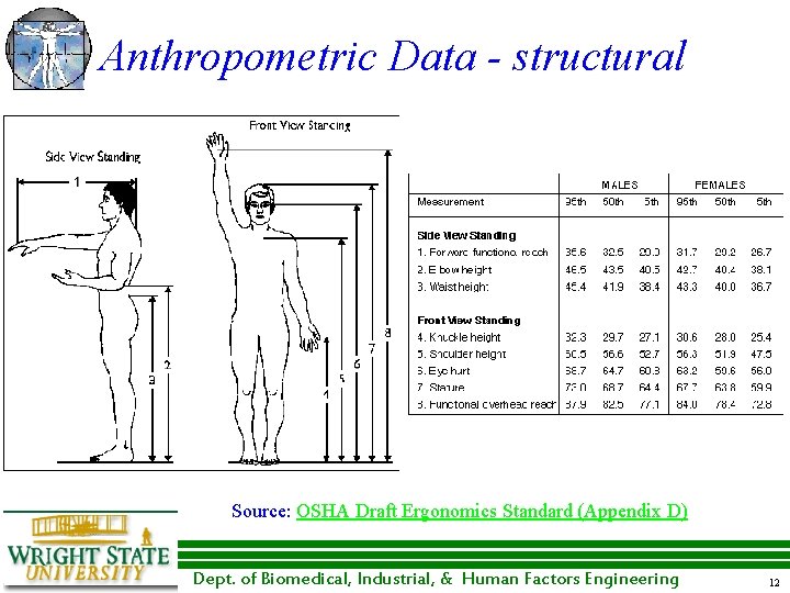 Anthropometric Data - structural Source: OSHA Draft Ergonomics Standard (Appendix D) Dept. of Biomedical,