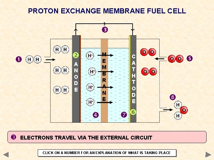 PROTON EXCHANGE MEMBRANE FUEL CELL M E M B R A N E A