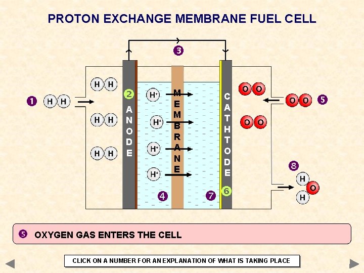 PROTON EXCHANGE MEMBRANE FUEL CELL M E M B R A N E A