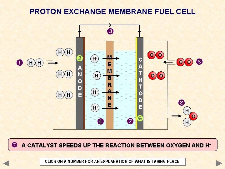 PROTON EXCHANGE MEMBRANE FUEL CELL M E M B R A N E A