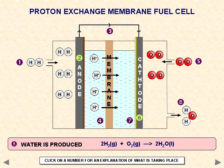 PROTON EXCHANGE MEMBRANE FUEL CELL M E M B R A N E A