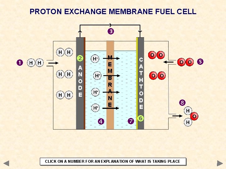 PROTON EXCHANGE MEMBRANE FUEL CELL M E M B R A N E A