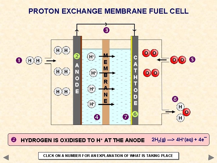 PROTON EXCHANGE MEMBRANE FUEL CELL M E M B R A N E A