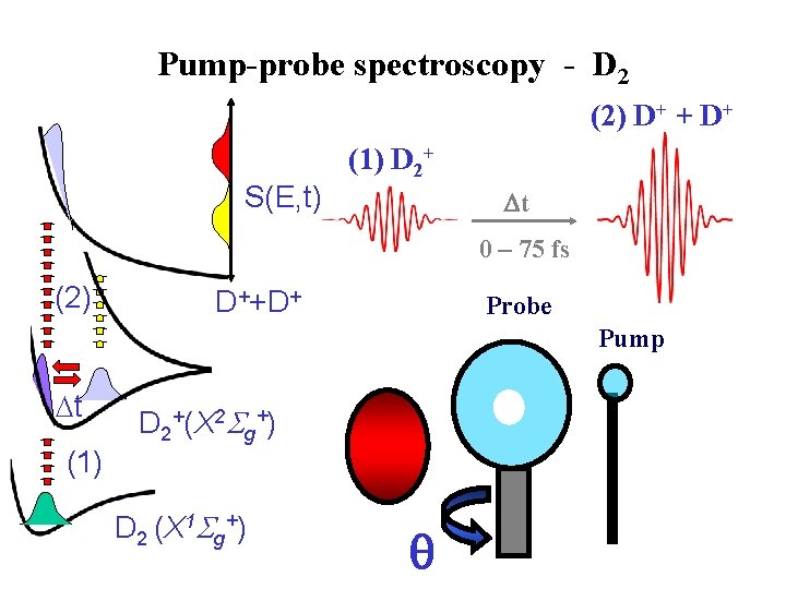 Pump-probe spectroscopy - D 2 (2) D+ + D+ S(E, t) (1) D 2+