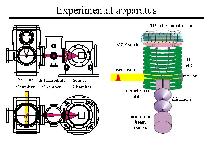 Experimental apparatus 2 D delay line detector MCP stack laser beam Detector Intermediate Chamber