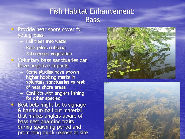 Fish Habitat Enhancement: Bass • Provide near shore cover for young bass – Fell