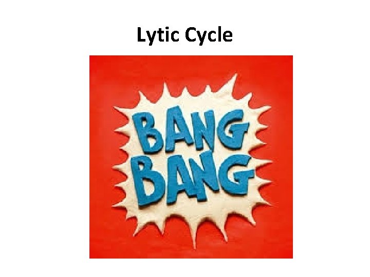 Lytic Cycle 