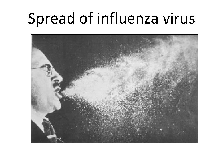 Spread of influenza virus 