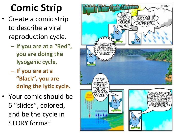Comic Strip • Create a comic strip to describe a viral reproduction cycle. –