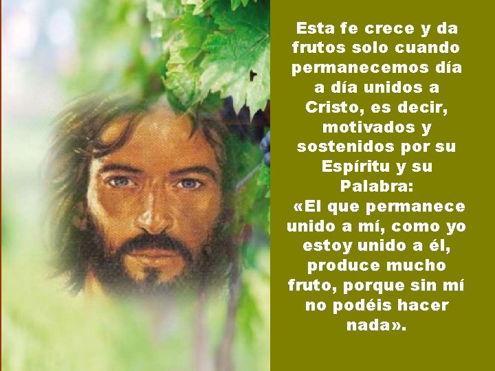 Esta fe crece y da frutos solo cuando permanecemos día a día unidos a