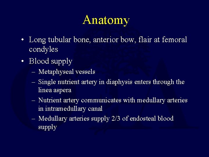 Anatomy • Long tubular bone, anterior bow, flair at femoral condyles • Blood supply