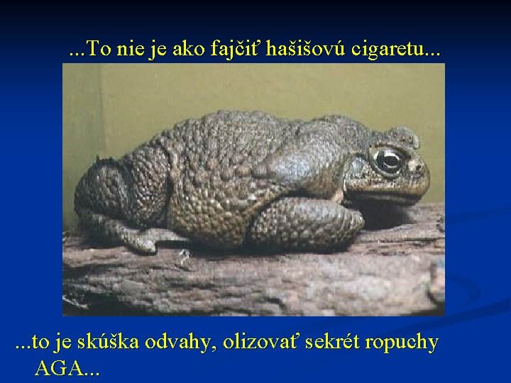 . . . To nie je ako fajčiť hašišovú cigaretu. . . to je