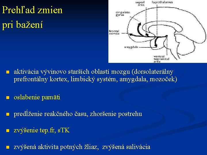 Prehľad zmien pri bažení n aktivácia vývinovo starších oblastí mozgu (dorsolaterálny prefrontálny kortex, limbický