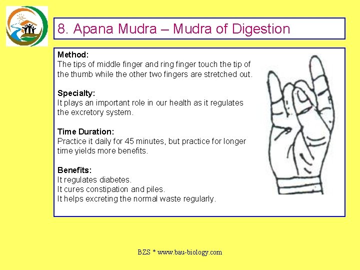 8. Apana Mudra – Mudra of Digestion Method: The tips of middle finger and