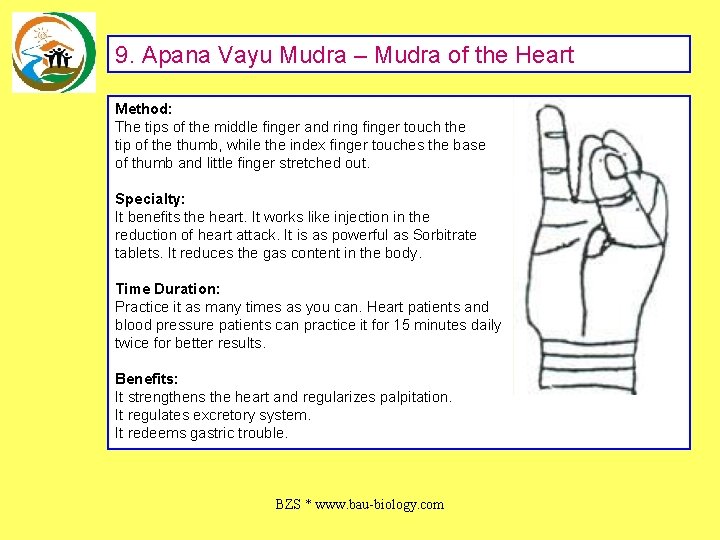 9. Apana Vayu Mudra – Mudra of the Heart Method: The tips of the