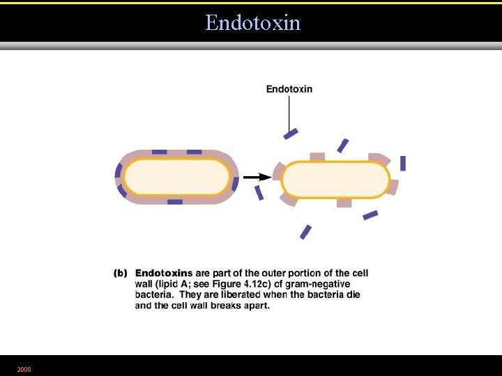 Endotoxin 2008 Figure 15. 4 b 