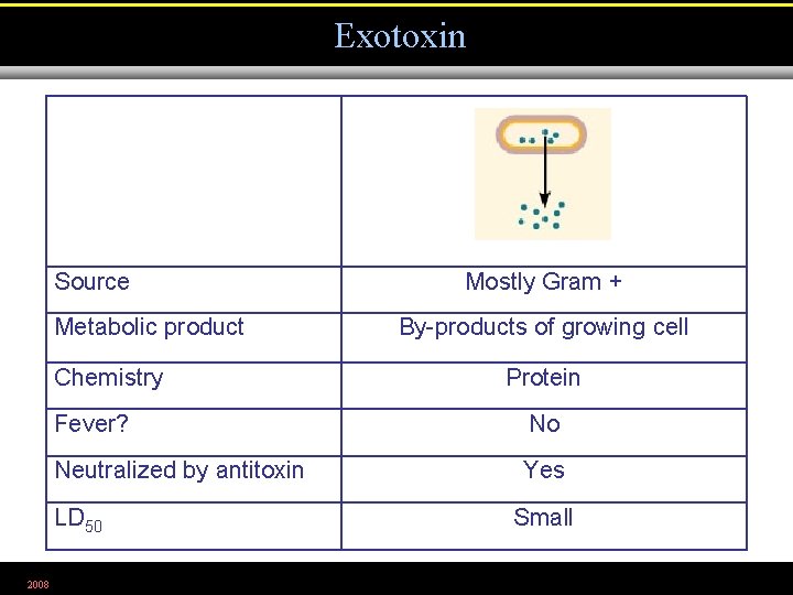 Exotoxin Source Metabolic product Chemistry By-products of growing cell Protein Fever? No Neutralized by