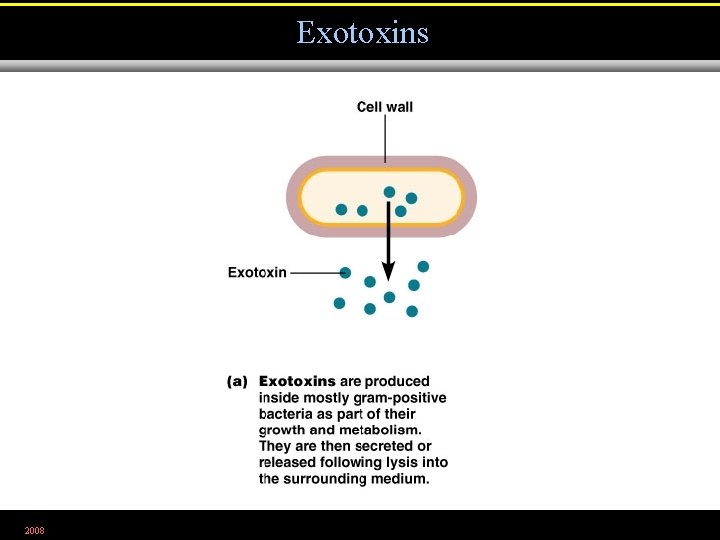 Exotoxins 2008 Figure 15. 4 a 