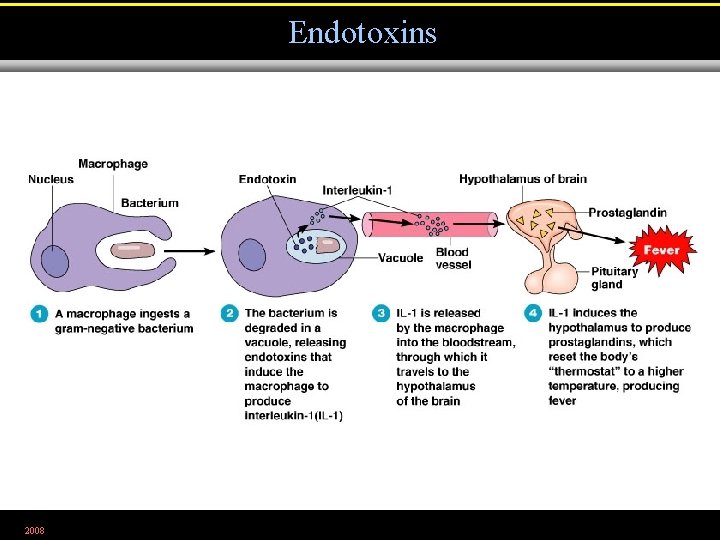 Endotoxins 2008 Figure 15. 6 