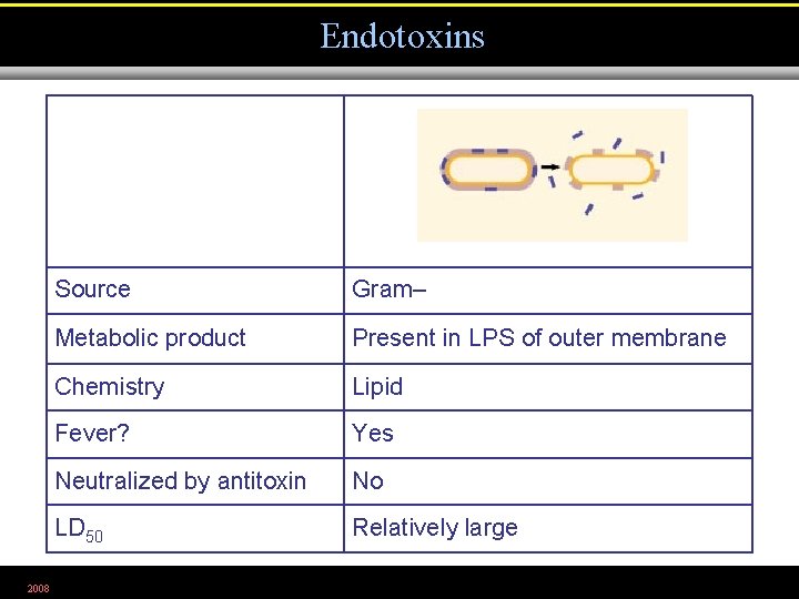Endotoxins 2008 Source Gram– Metabolic product Present in LPS of outer membrane Chemistry Lipid