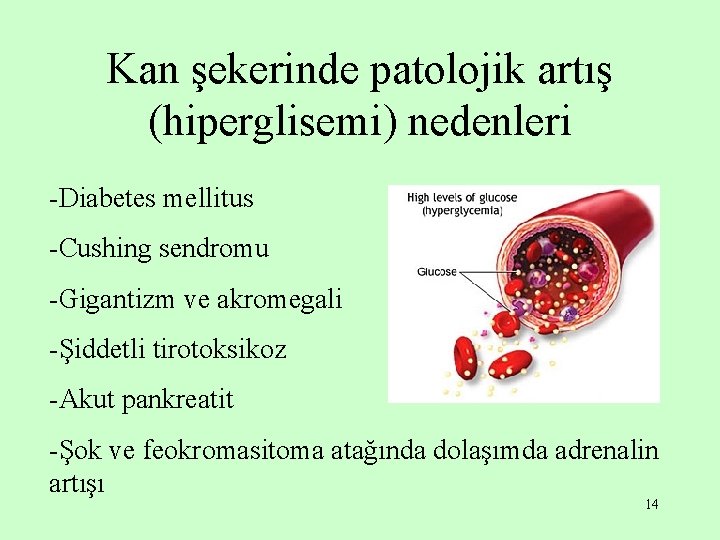 Kan şekerinde patolojik artış (hiperglisemi) nedenleri -Diabetes mellitus -Cushing sendromu -Gigantizm ve akromegali -Şiddetli