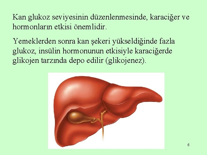 Kan glukoz seviyesinin düzenlenmesinde, karaciğer ve hormonların etkisi önemlidir. Yemeklerden sonra kan şekeri yükseldiğinde