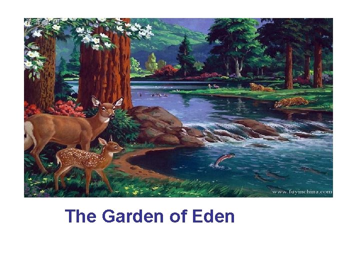 The Garden of Eden 