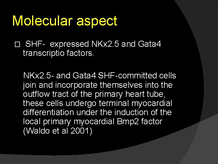 Molecular aspect � SHF- expressed NKx 2. 5 and Gata 4 transcriptio factors. NKx