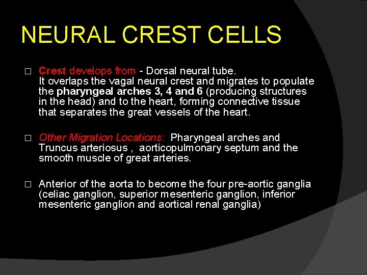 NEURAL CREST CELLS � Crest develops from - Dorsal neural tube. It overlaps the