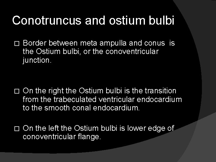 Conotruncus and ostium bulbi � Border between meta ampulla and conus is the Ostium